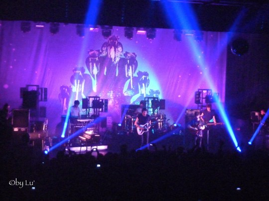 FOALS