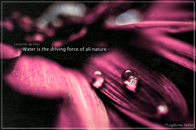 15082017-bouquetgilles-indoor-macro-siercklesbains-by-Lugdivine-Unfer-4_Fotor